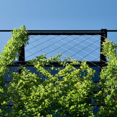 Jakob-Rope-Systems-GreenSolutions (30)