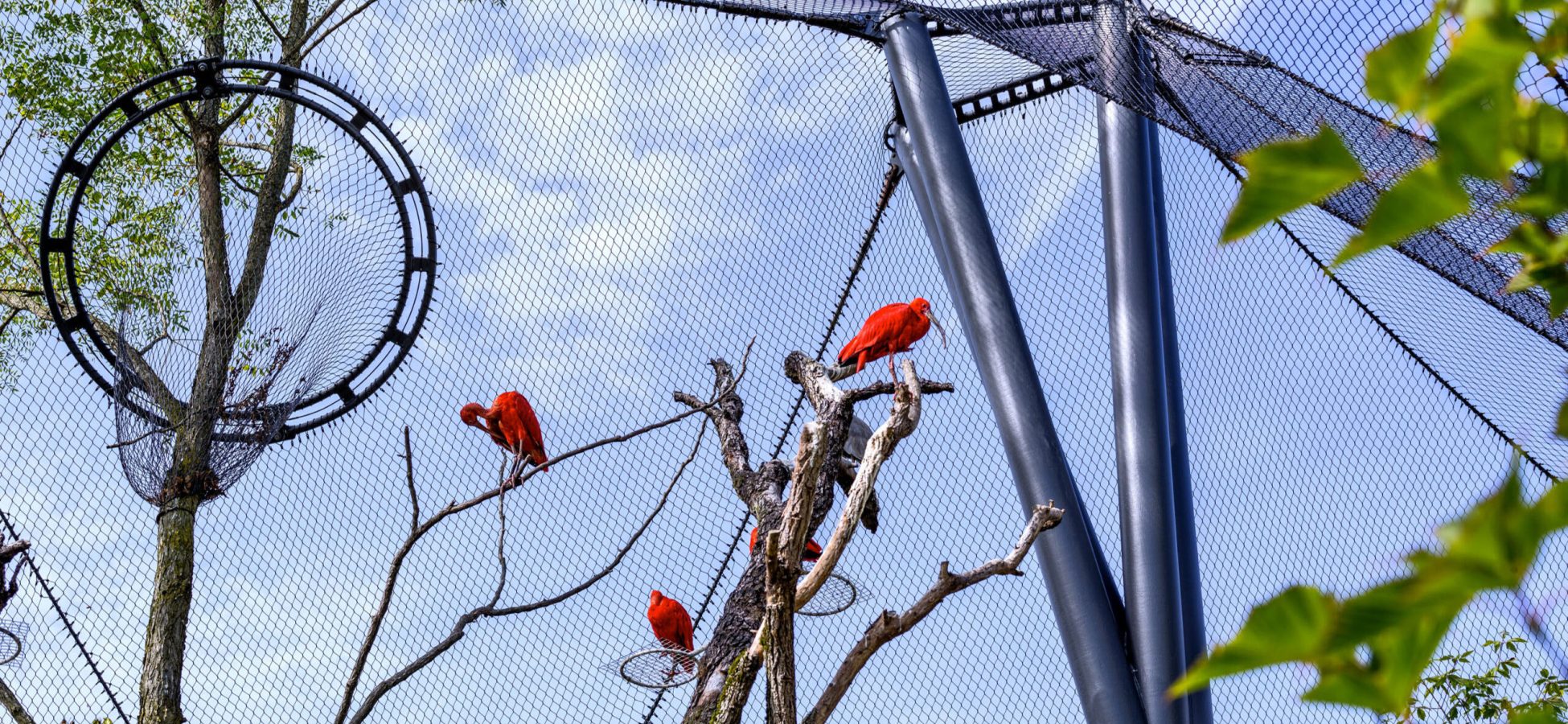 Jakob-Rope-Systems-Zoo-19-scaled